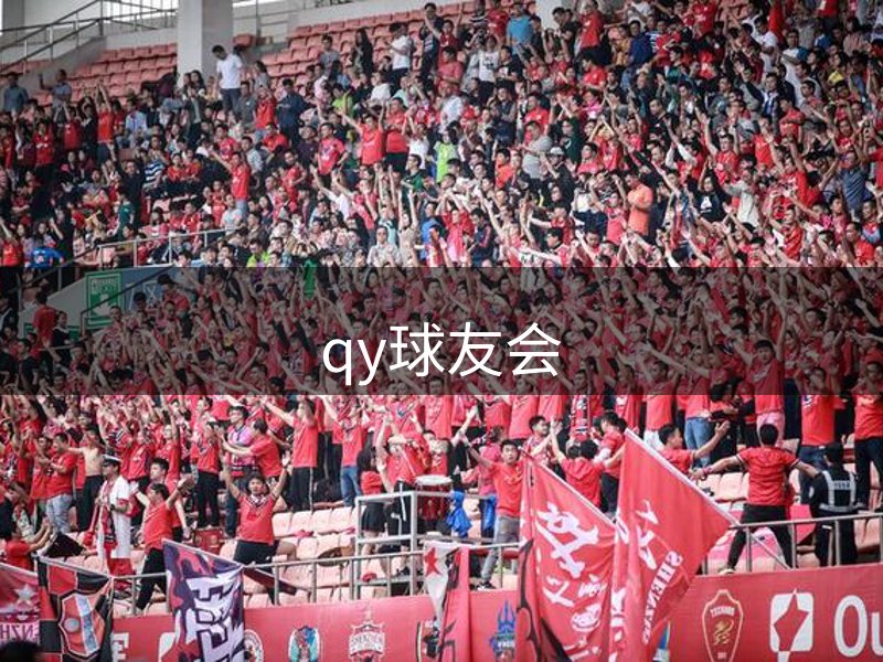 公司追求
